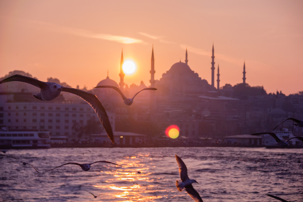 Photograph of seagulls in front of the Istanbul skyline at sunset.